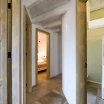 Вилла Zingaro Cala Bianca